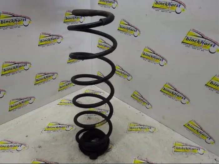 Rear coil spring Renault Laguna