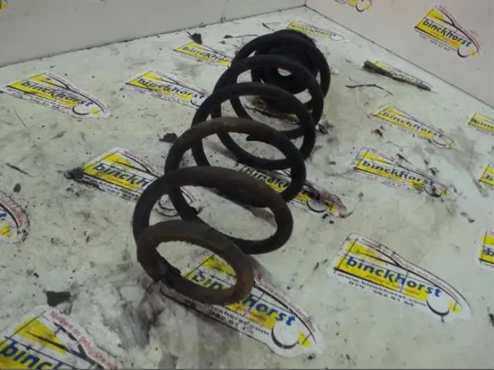 Rear coil spring Volkswagen Beetle