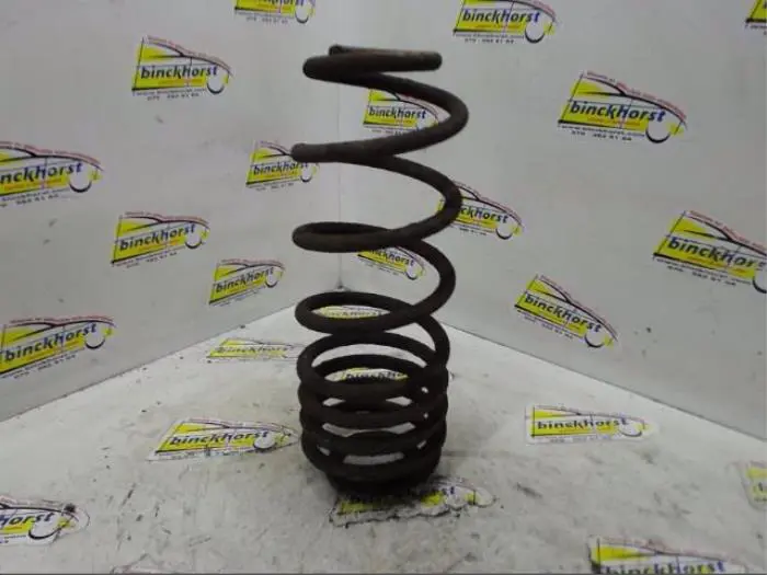 Rear coil spring Volkswagen Beetle