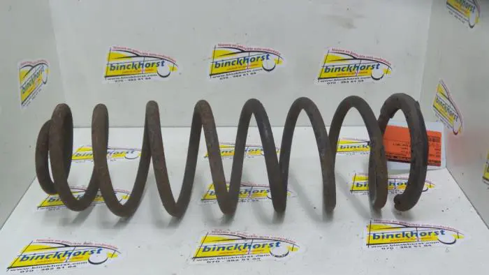 Rear coil spring Fiat Scudo