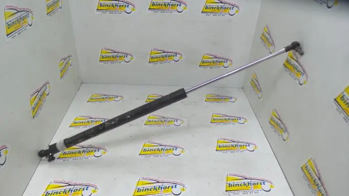 Rear gas strut, left Nissan Sunny