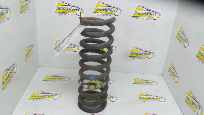 Rear coil spring Mercedes 200 - 500