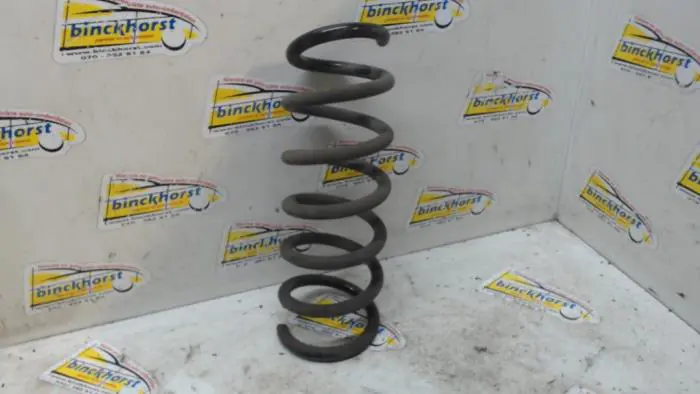 Rear coil spring Dacia Logan