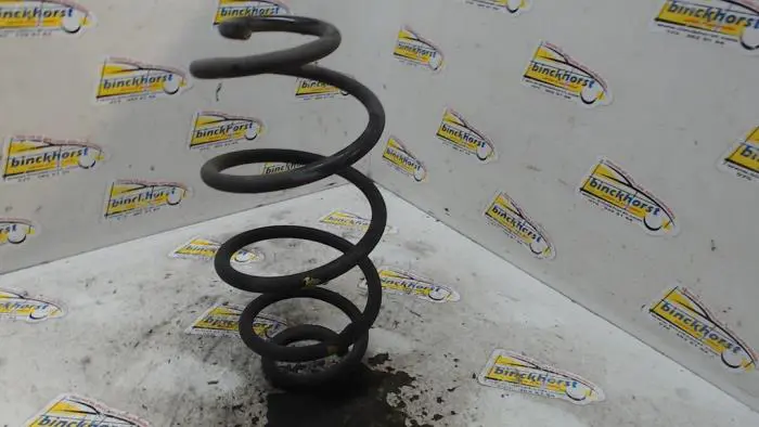 Rear coil spring Fiat Doblo