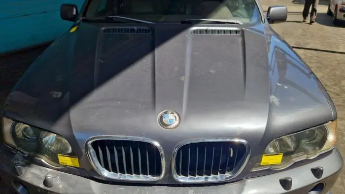 Bonnet BMW X5