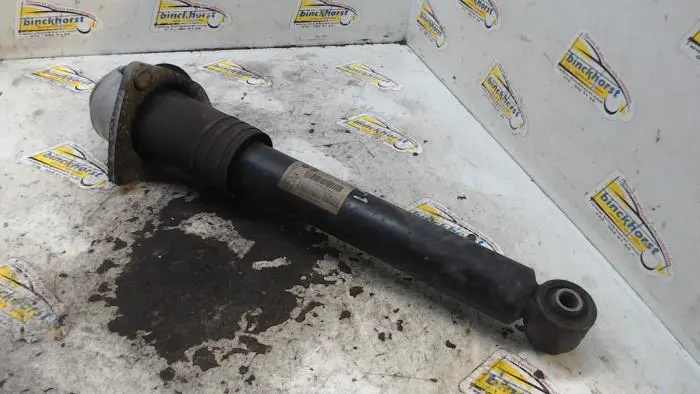 Rear shock absorber, left BMW X5