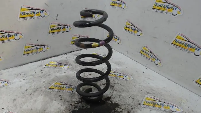 Rear coil spring Renault Twingo