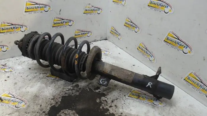 Front shock absorber rod, right Ford Fiesta