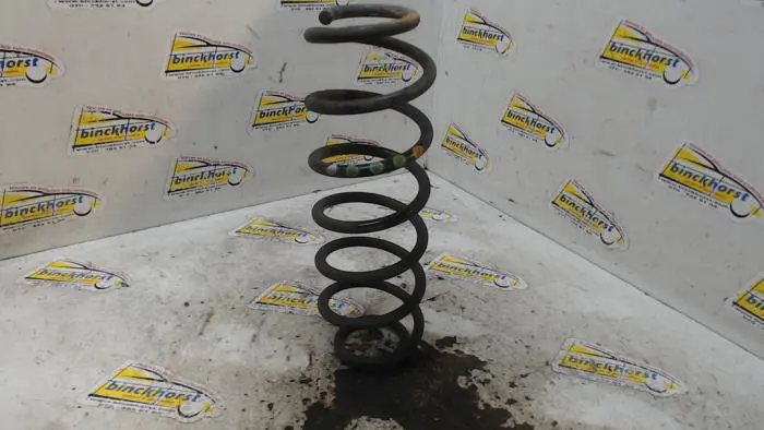 Rear coil spring Seat Ibiza