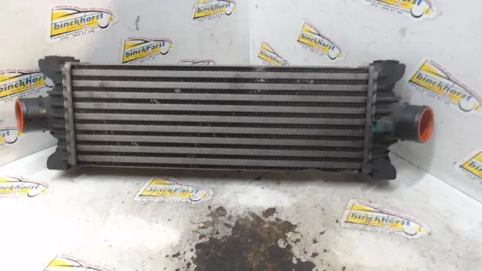 Intercooler Ford Transit Custom