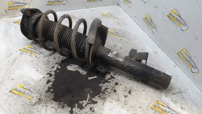 Front shock absorber rod, right Ford Focus