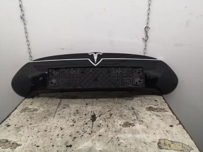 Grille Tesla Model S