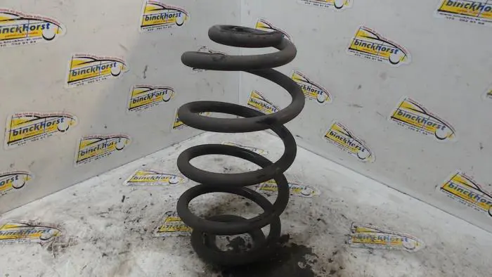 Rear coil spring Mercedes Vito