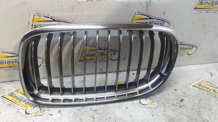 Grille BMW 3-Serie