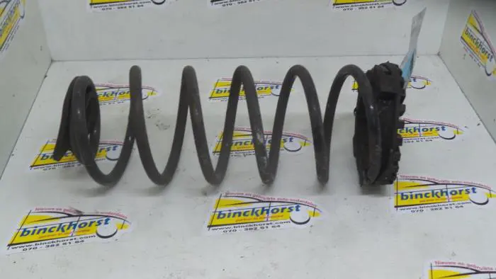 Rear coil spring Hyundai Getz