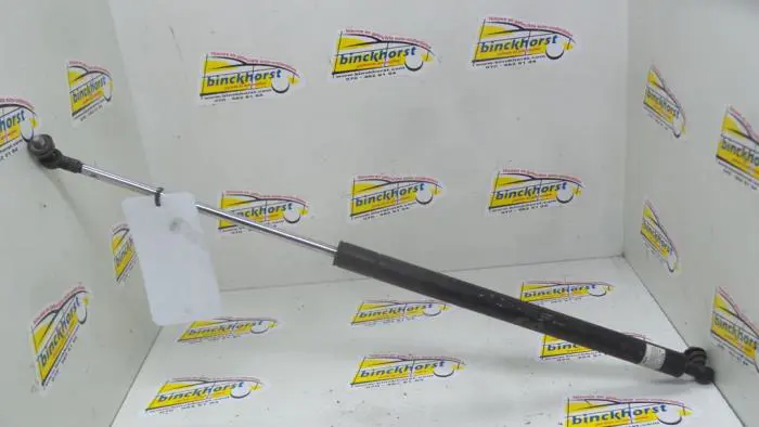 Rear gas strut, left Nissan Sunny