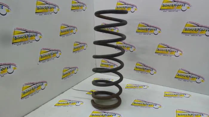 Rear coil spring Jaguar X-Type