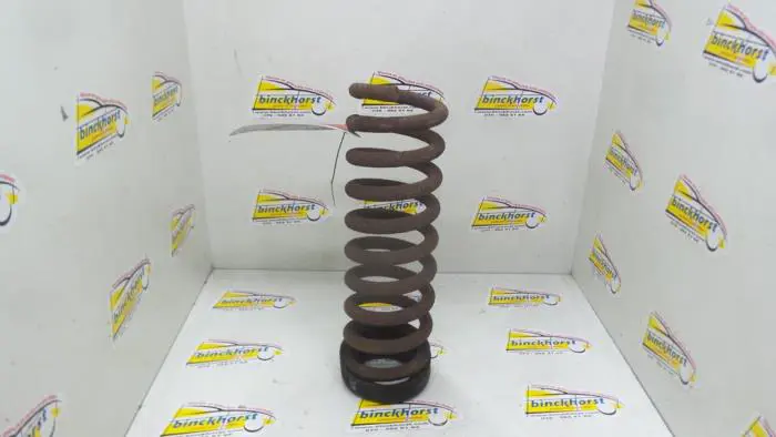 Rear coil spring Mercedes C-Klasse