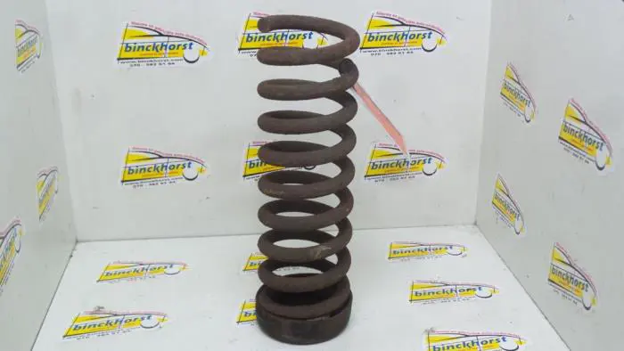 Rear coil spring Mercedes C-Klasse